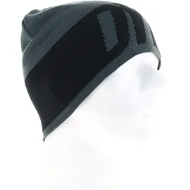 Dynafit Light Logo Mütze-Anthrazit-One Size