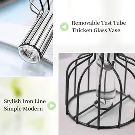 luxuskollektion 2er Set Mini Glasvasen Schwarz - Modernes Hydroponik Blumenvase für