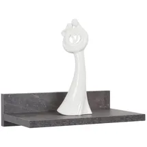 Ricoo Wandregal 30 x 8 x 19 cm Grau