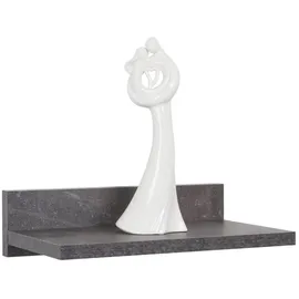 Ricoo Wandregal 30 x 8 x 19 cm Grau