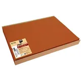 PROnappe 100 PROnappe Platzsets orange 30,0 x 40,0 cm