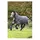 Horseware Amigo Bravo 12 Reflectech Plus 100g - Grey/Reflective, 115