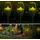 stephans möbelbörse 3er Set LED Solar Fackel Gartenfackel Wegeleuchte Solarfackel Leuchte Licht 38cm