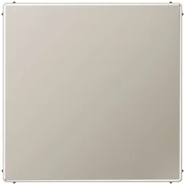 Jung Blind-Abdeckung ES2994B Edelstahl