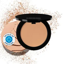 Roche Posay Toleriane Teint Mineral Puder 15