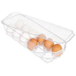 relaxdays Eierbox 12 Eier transparent, 32.5x8x11.5 cm