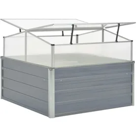 vidaXL Gewächshaus 100 x 100 x 85 cm Grau
