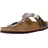 graceful taupe 37