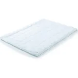 CelinaTex First Class Sommer Steppdecke 230x220 PES Mikrofaser 960g Körperzonensteppung