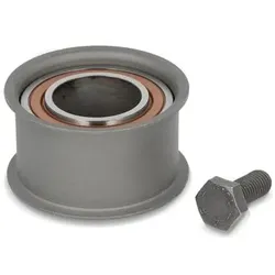 SKF Umlenk-/Führungsrolle, Zahnriemen RENAULT,DACIA VKM 26102 7700116050,7700733489,7700863111 8200420959,6001545395,8200051092,8200469376