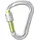 Edelrid HMS-Karabiner Silber