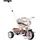 Smoby 740418 Dreirad Kinder ab 10 Monaten