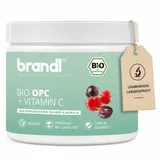 Brandl Bio OPC Traubenkernextrakt mit Vitamin C Kapseln 120 St.