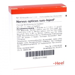 Nervus Opticus suis Injeel Ampullen