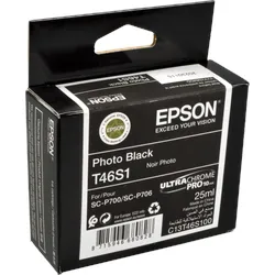 Epson Tinte C13T46S100  T46S1  foto schwarz