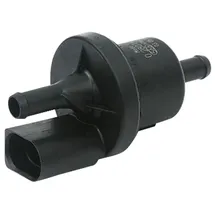 Borsehung Ventil, Aktivkohlefilter b13667