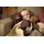 Biederlack Kuschelset Dream Team Bruno 75x100 cm