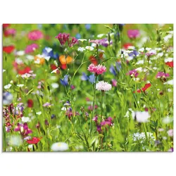 Glasbild ARTLAND "Blumenwiese I", grün (farbe bild(er): grün), B:80cm H:60cm, Bilder, in verschiedenen Größen
