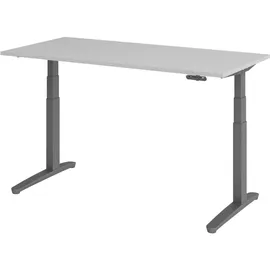bümö Schreibtisch XBHM Grau