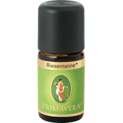 Riesentanne kbA ätherisches Öl 5 ml
