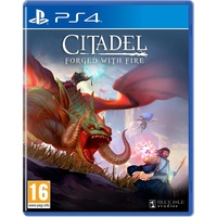 Virtual basement Citadel: Forged with Fire