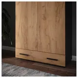 Vicco Ingo Aktenschrank 80 x 17,4 x 174 cm Anthrazit/Goldkraft Eiche