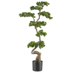 CREATIV green künstliche Pflanze Bonsai Kiefer ca 125x50cm