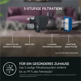 AEG Animal 5000 Akku-Staubsauger AS52A212XN