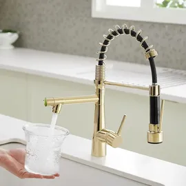 luxuskollektion TIMACO Küchenarmatur Gold