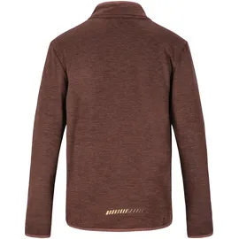 Endurance Langarmshirt ENDURANCE "Ledger Jr.", Jungen, Gr. 164, braun, 92% Polyester, 8% Elasthan, unifarben, normal, Shirts, mit hochabschließendem Kragen