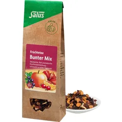 Früchtetee Bunter Mix Bio Salus 100 G