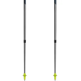 Leki Traveller FX.One Carbon 120 cm grau