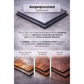 Vivanno NEW RONDO Ø 40 x 40 cm Rostbraun