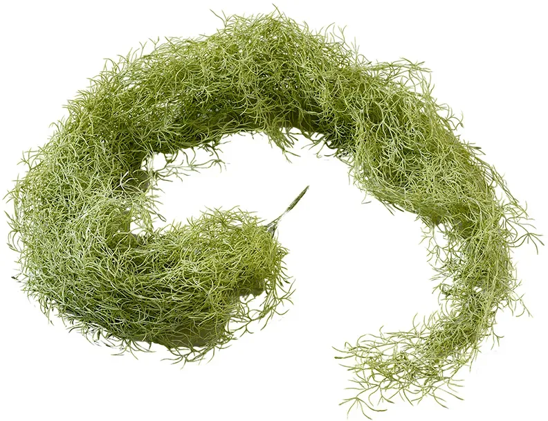 Tillandsia Hänger 180cm grün/grau