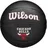 Wilson NBA Team Tribute Mini Basketball Schwarz 3