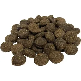FangGold Nature Croc 15 kg