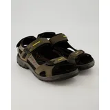 ECCO Offroad Herren tarmac/moon rock 49