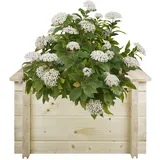 TIMBELA Hochbeet 58 x 58 x 35 cm Beige