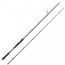 Abu Garcia Beast X Spinning 7102 H, 7102 H / 249cm 25-90g