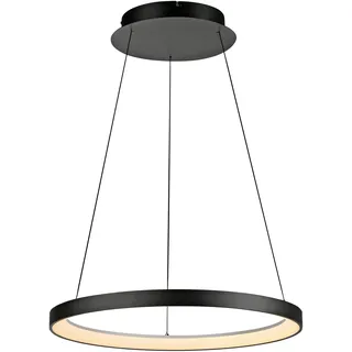 Paul Neuhaus HOOP LED