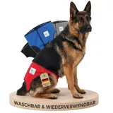 NATURE PET Premium Läufigkeitshose für Hündinnen – Hochwertige & Bequeme Hundewindeln für Hündinnen & Rüden – Waschbare Inkontinenz-Hundewindel ohne Einfädeln der Rute – L/Rot