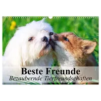 Calvendo Beste Freunde - Bezaubernde Tierfreundschaften (Wandkalender 2026 DIN