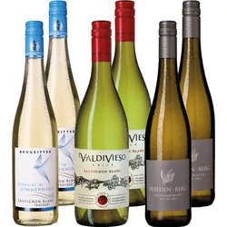 Probierpaket "Sauvignon Blanc"