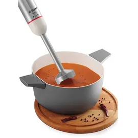 Arzum 1000W Multi Blender Set Stabmixer Pürierstab Handmixer Zerkleinern Weiß -