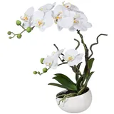 creativ-green Kunstblume Orchidee, Phalaenopsis, weiß, in Keramik-Schale, Höhe 42 cm