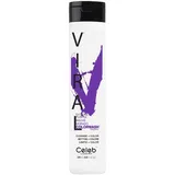 Celeb Viral Extreme Purple 244 ml
