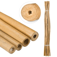 Relaxdays Bambusstäbe 150cm, aus natürlichem Bambus, 25 Stück, Bambusstangen