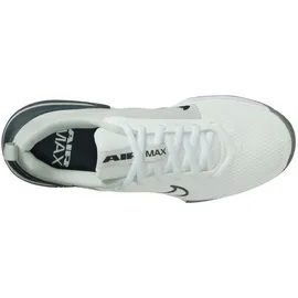 Nike Air Max Alpha Trainer 6 Herren Summit White/Seaweed/Light Silver 45,5