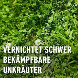 Compo Rasenunkraut-Vernichter Perfekt Konzentrat 200 ml