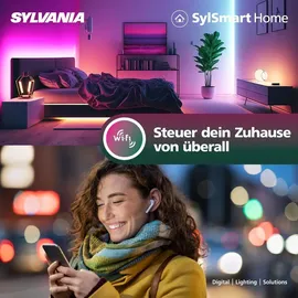 Sylvania Retro Birne E27 6W warmweiß 2000 K 6 St.